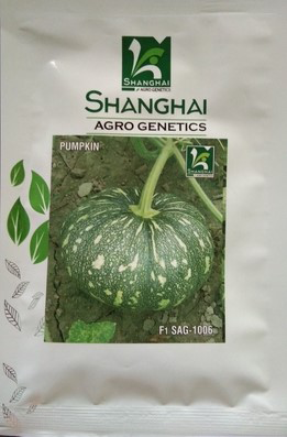 Pumpkin / Kaddoo SAG-1006