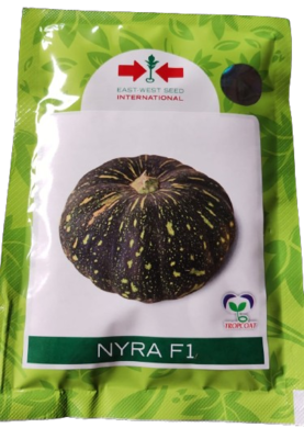 Pumpkin / Kaddoo Nyra