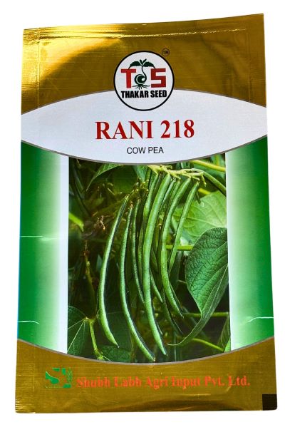 CowPea / Choli Rani-218