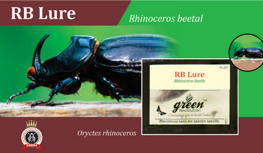 Beetle Lure / Rhinoceros Beetle Pheromone Lure