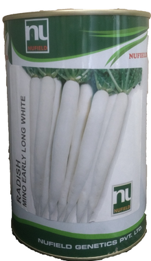 Radish Mino Early Long White