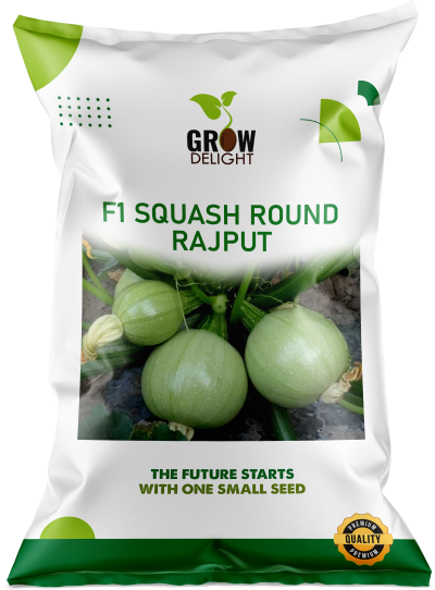 Grow Delight F1 Squash Round Rajput