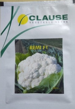Cauliflower Remi
