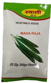 RidgeGourd / Turai Maharaja