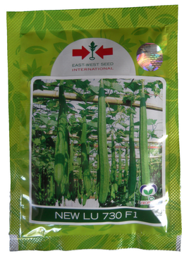 RidgeGourd / Turai New Lu 730