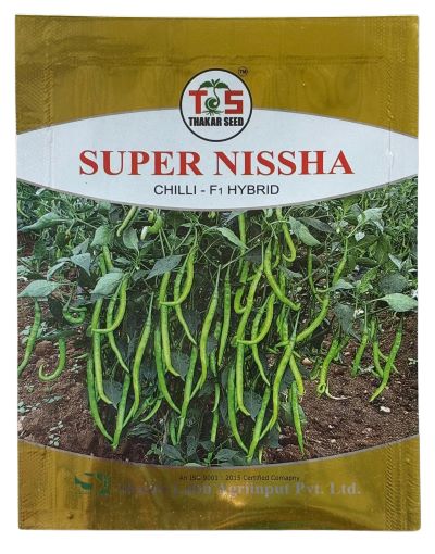 Chilli / Hot Pepper Super Nisha
