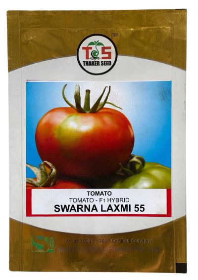 Tomato Suvarna Laxmi-55