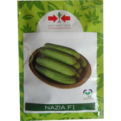 Cucumber Nazia