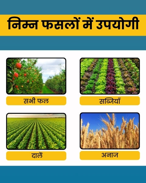 Katyayani Samartha -  Carbendazim 12% + Mancozeb 63% WP | Chemical Fungicide