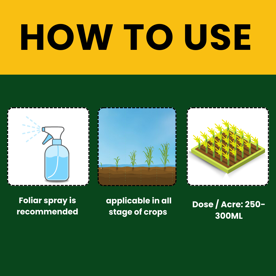 Katyayani Seaweed Extract Liquid