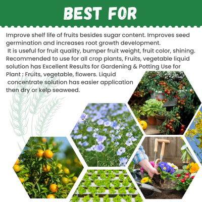 Katyayani Seaweed Extract Fertilizer