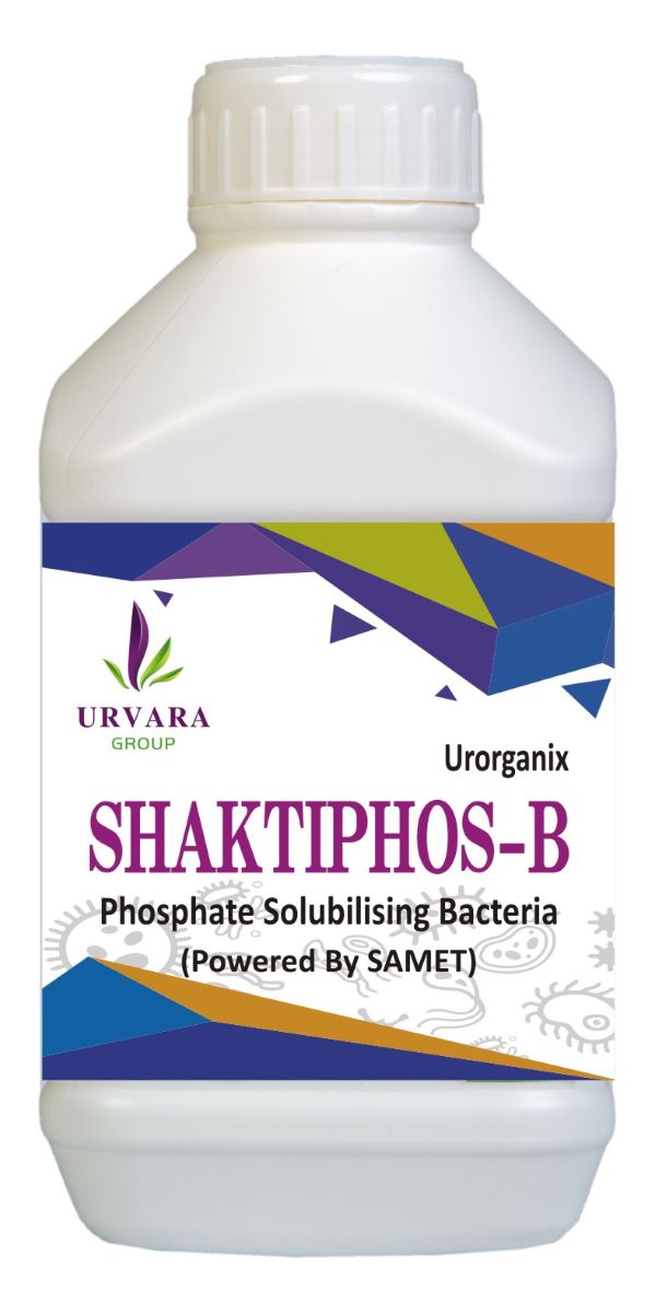Shaktiphos B - Phosphate Solubilizing Bacteria