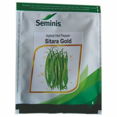 Chilli / Hot Pepper SITARA GOLD