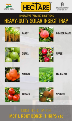 Hectare Solar Insect Trap