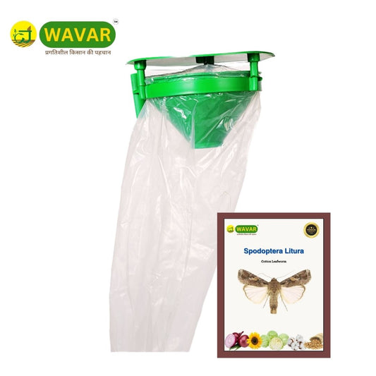 Wavar Funnel Trap with Spodoptera Litura