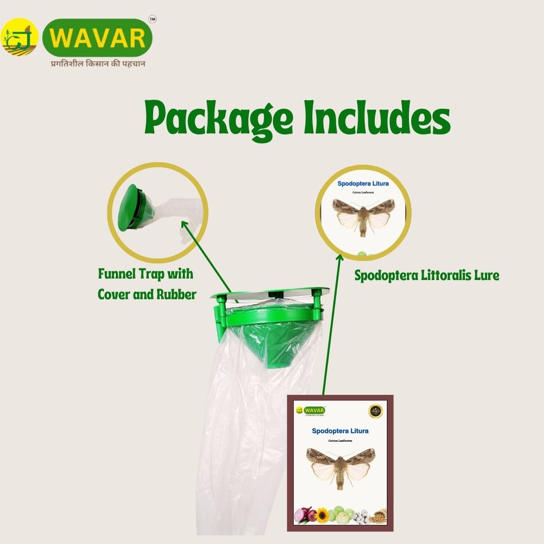 Wavar Funnel Trap with Spodoptera Litura