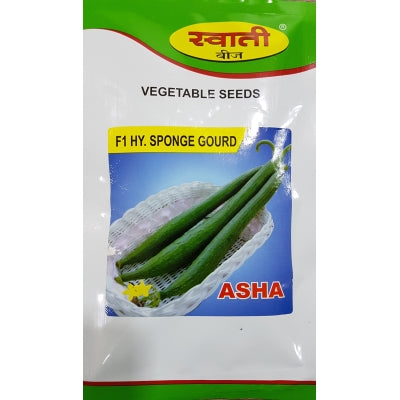 SpongeGourd / Galki Asha