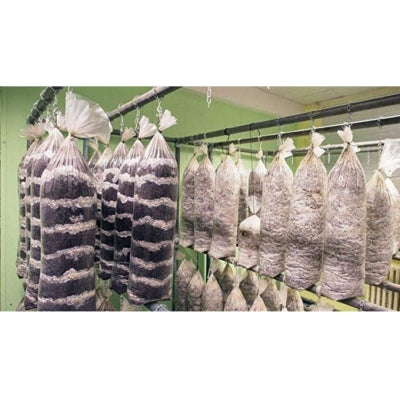 SporeKart Shroomness Sterilized Hardwood Sawdust (Dried) 4.5 Kg