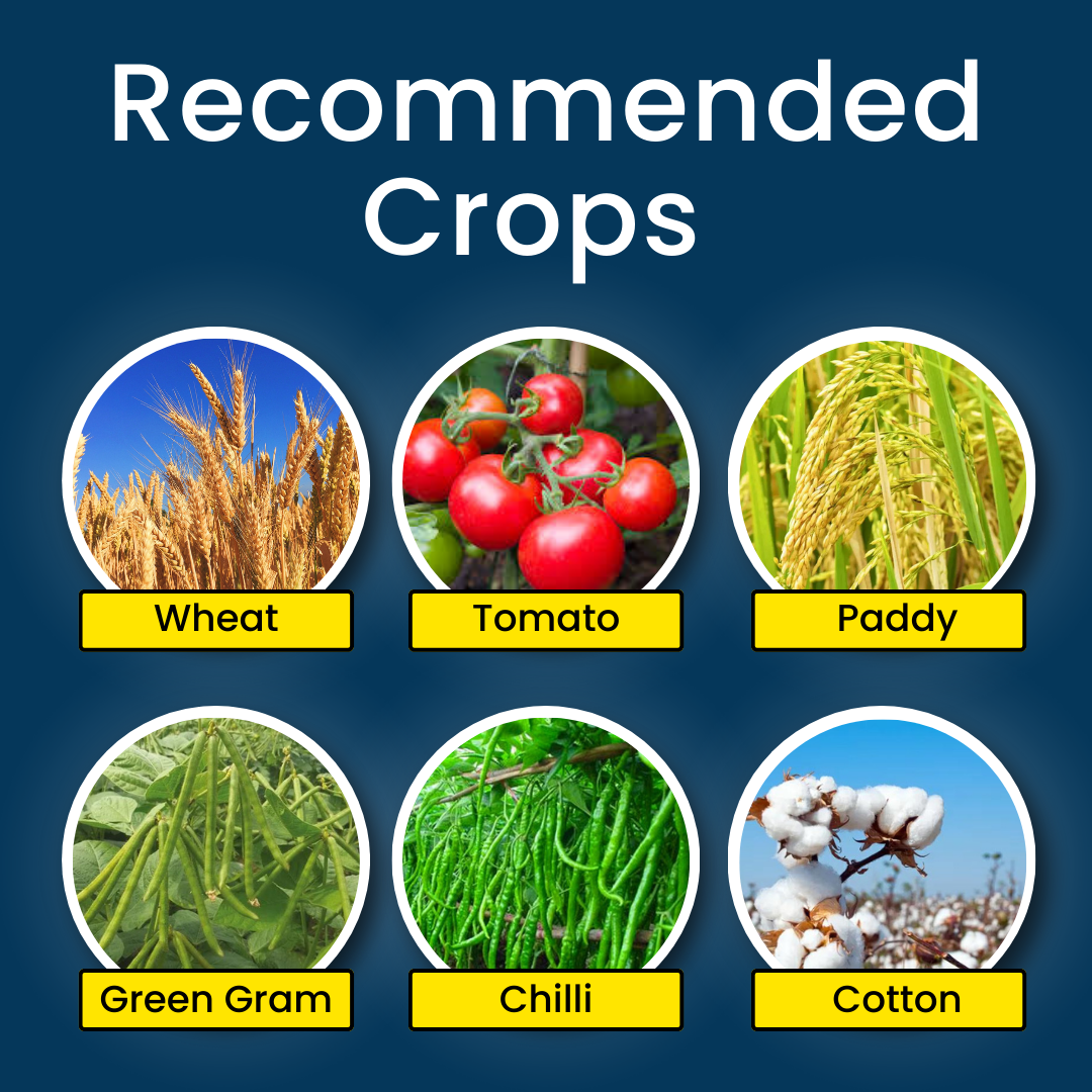 Katyayani Striker - Pseudomonas Fluorescence - Bio Fungicide