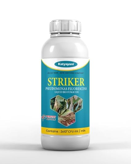 Katyayani Striker - Pseudomonas Fluorescence - Bio Fungicide