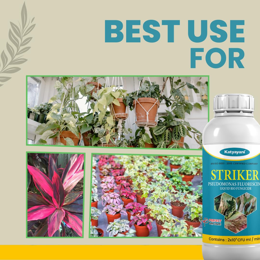 Katyayani Striker - Pseudomonas Fluorescence - Bio Fungicide