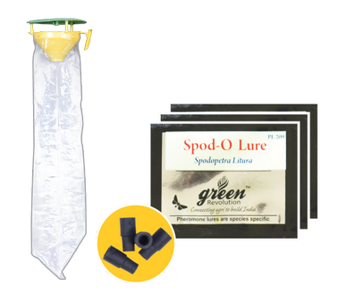 Spodo-o- Lure / Spodoptera Litura Pheromone Lure
