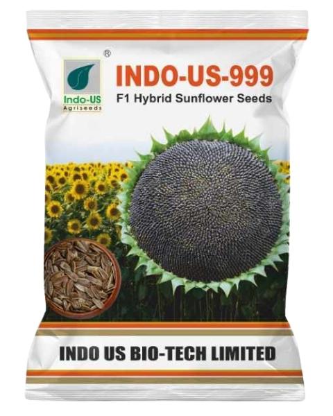 Sunflower Indo US 999