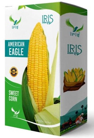 Maize / Sweet Corn F1 Iris American Eagle 500 grams