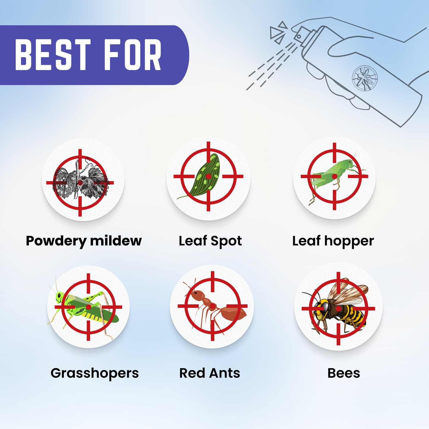 Katyayani Tebuconazole 10 % + Sulphur 65 % WG