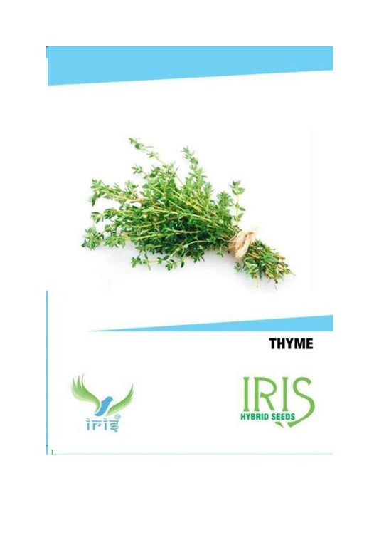 Iris Imported Thyme 360 Seeds
