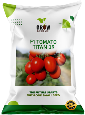 Tomato F1 Titan 19