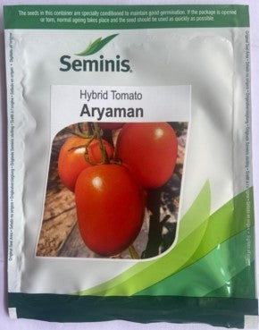 Tomato Aryaman