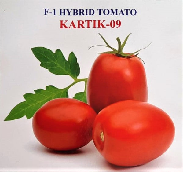 Tomato Iris F1 Kartik 09
