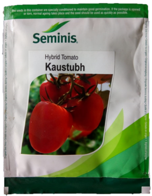 Tomato Kaustubh
