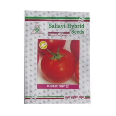 Tomato OP SHV-22 50 grams