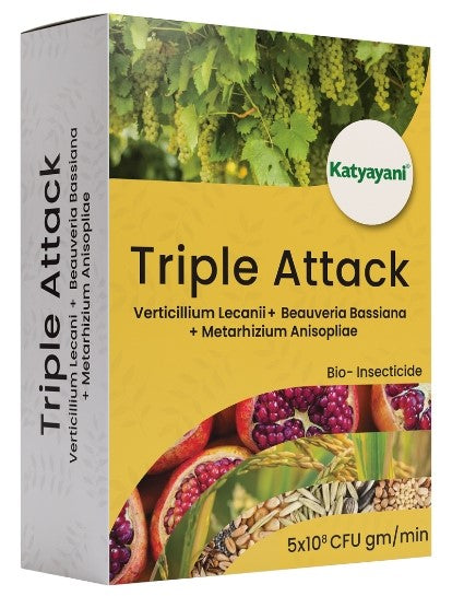 Katyayani Triple Attack