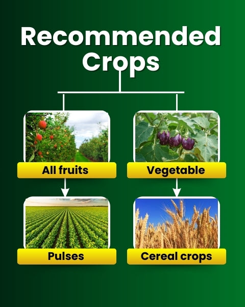 Katyayani Triple Attack