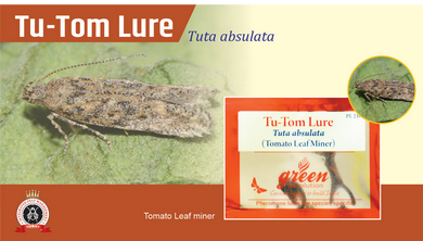 Tu - Tom Lure / Tuta Absoluta Pheromone Lure