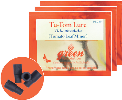 Tu - Tom Lure / Tuta Absoluta Pheromone Lure