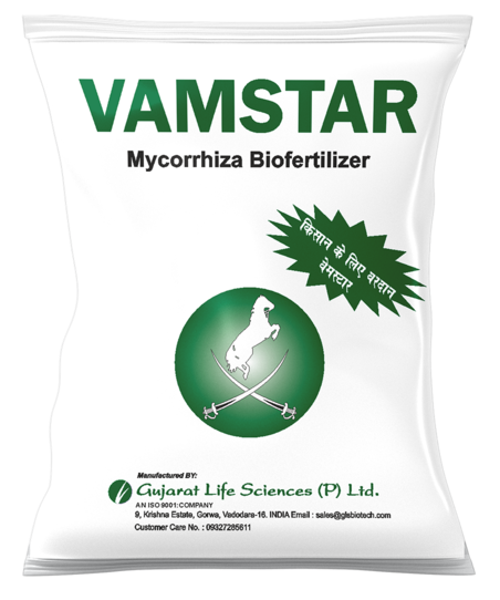 GLS Vamstar 1 Kg - Mycorrhiza Biofertilizer