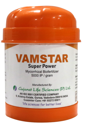 GLS Vamstar Superpower 100 grams - Mycorrhiza Biofertilizer