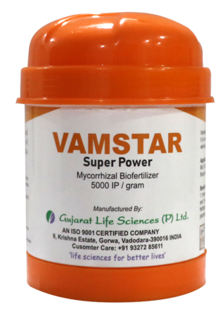 GLS Vamstar Superpower 100 grams - Mycorrhiza Biofertilizer