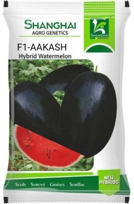 Watermelon F1 Akash