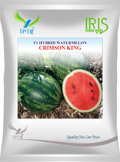 Watermelon F1 Iris Crimson King