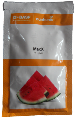 Watermelon MaxX