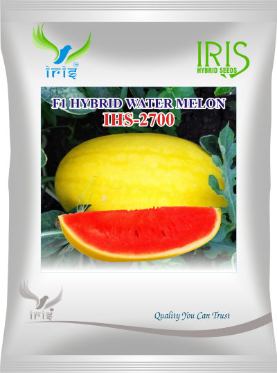 Watermelon F1 Iris IHS-2700 - 20 grams