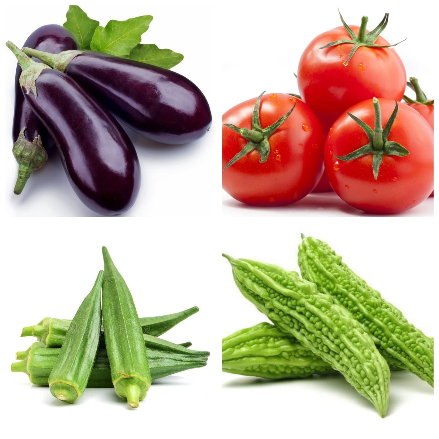 Agromate Combo Kitchen Garden Pack (16 Vegetable OP Varieties)