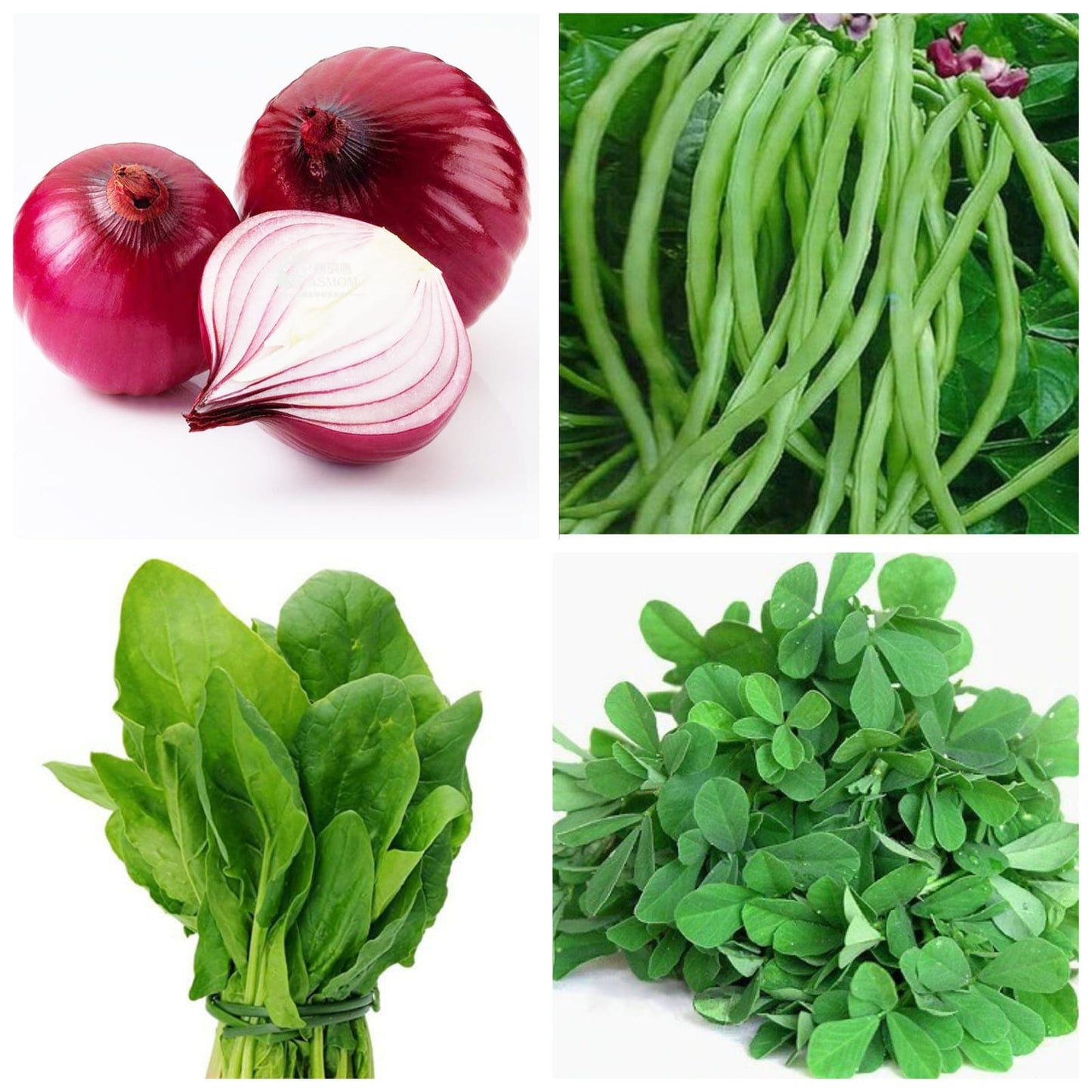 Agromate Combo Kitchen Garden Pack (16 Vegetable OP Varieties)