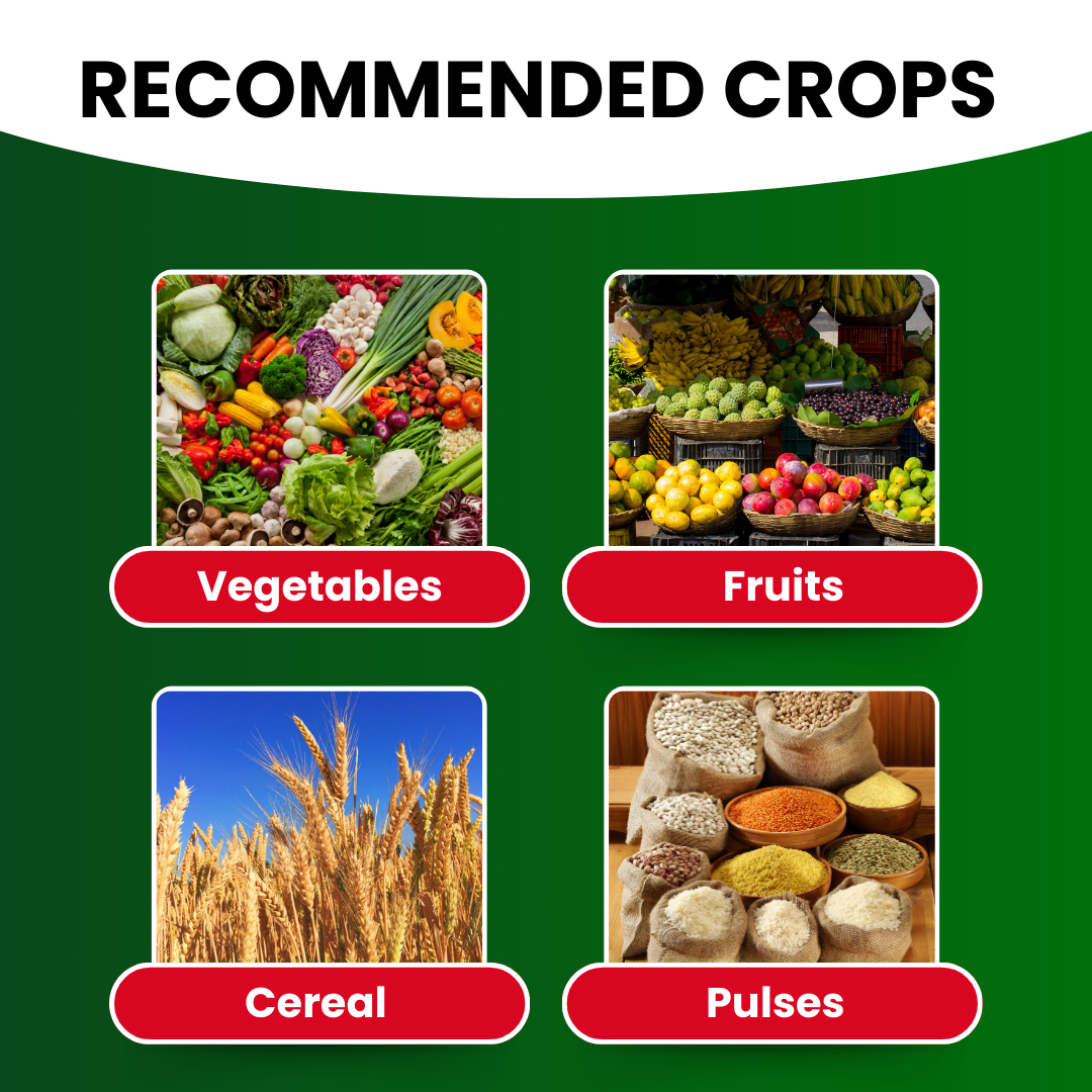 Katyayani Zinc 12% EDTA Fertilizer