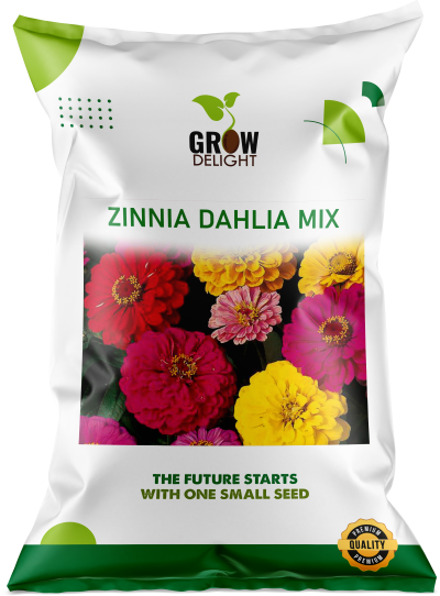 Grow Delight Imported Zinnia Dahlia Mix - 600 seeds